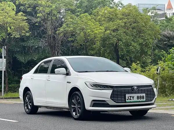 BYD Qin NEV 2020