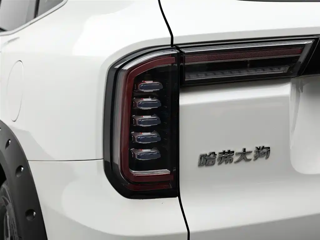 Haval Big Dog 2023 — фото 7