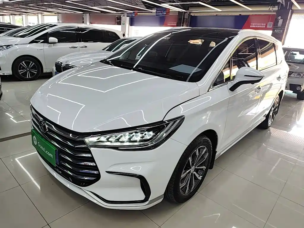 BYD MAX 2021