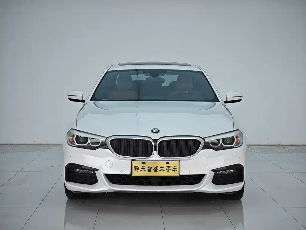 BMW 5 Series 2019 — фото 2