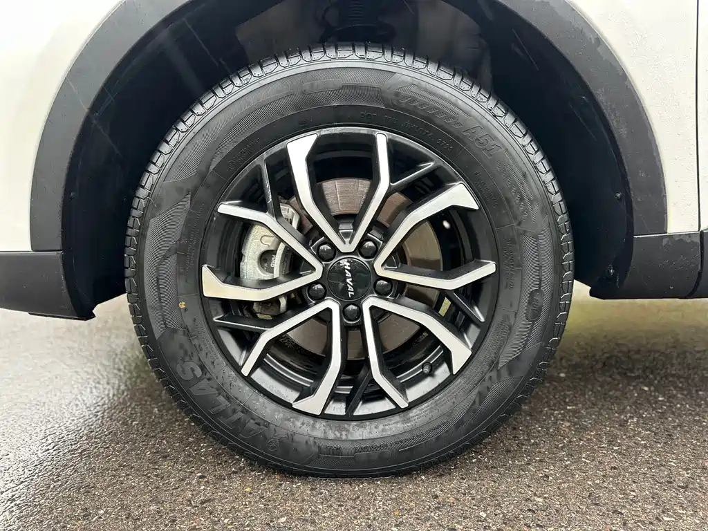 Haval H6 2023 — фото 12