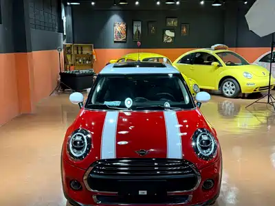 MINI MINI 2020