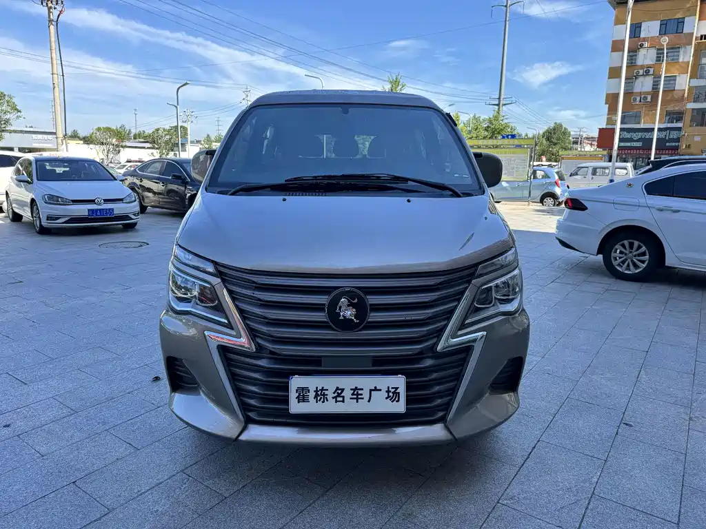 Dongfeng Lingzhi 2024