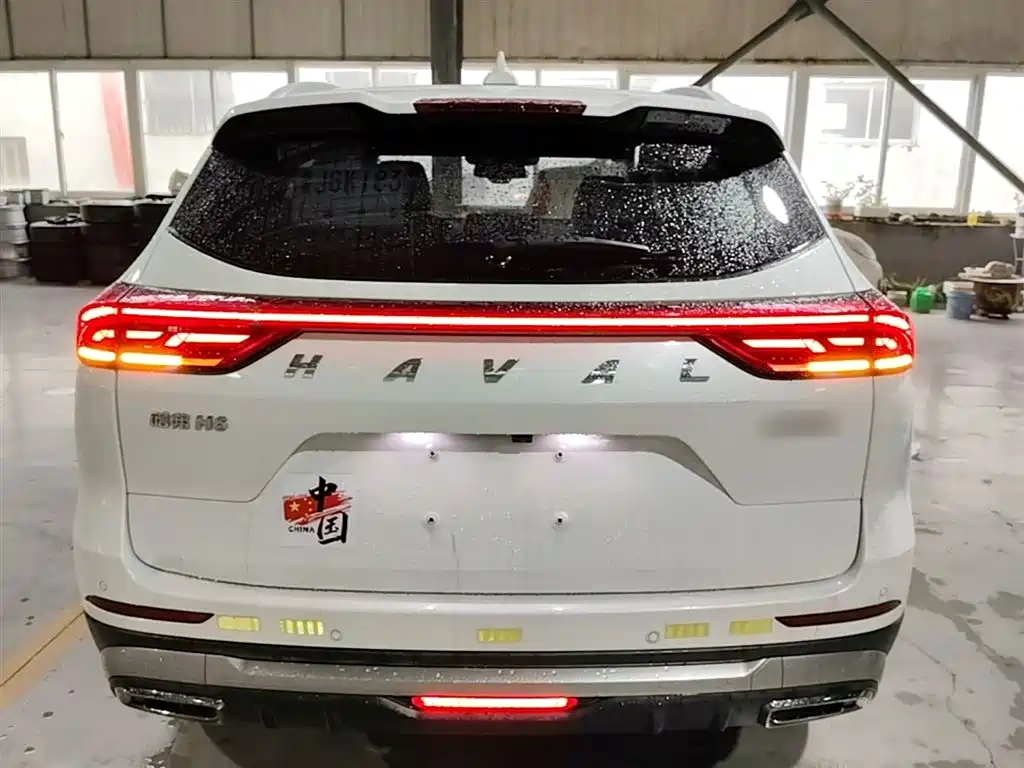 Haval H6 2021 — фото 6