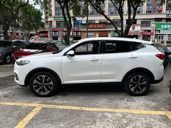 Wey VV6 2021