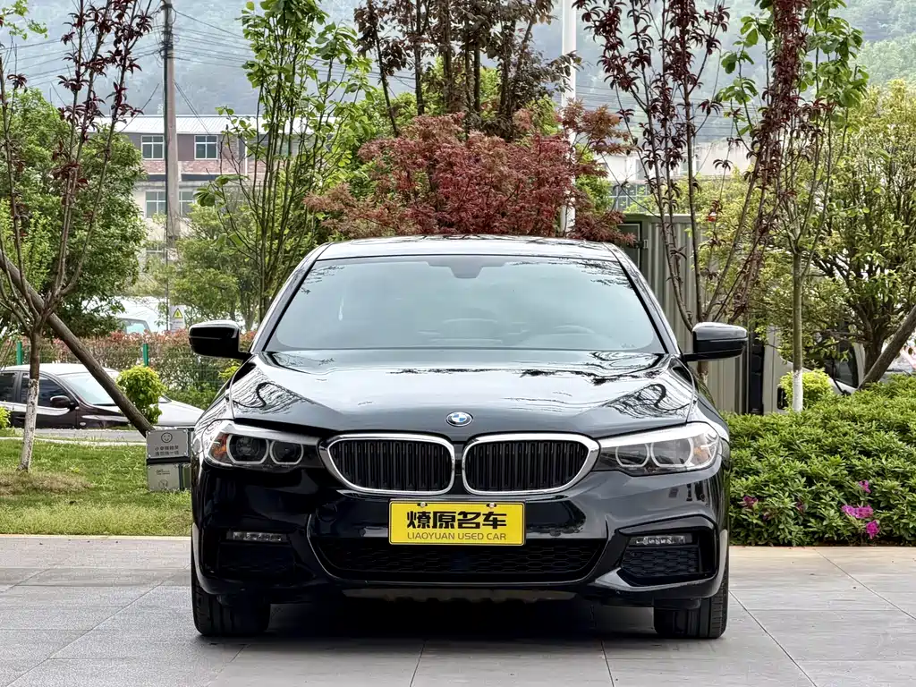 BMW 5 Series 2019 — фото 2