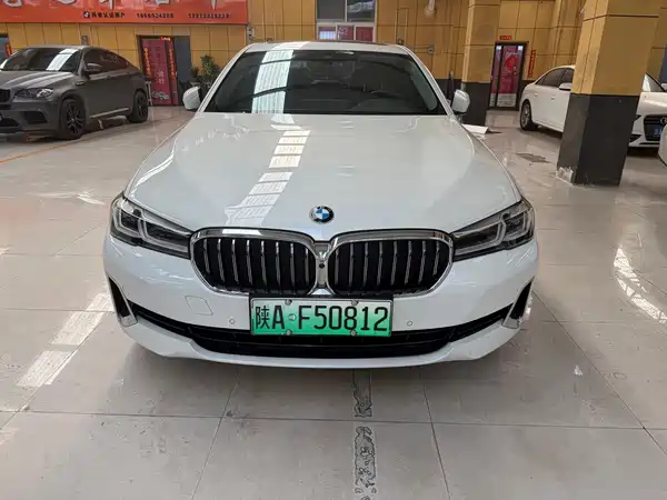 BMW 5 Series New Energy 2021