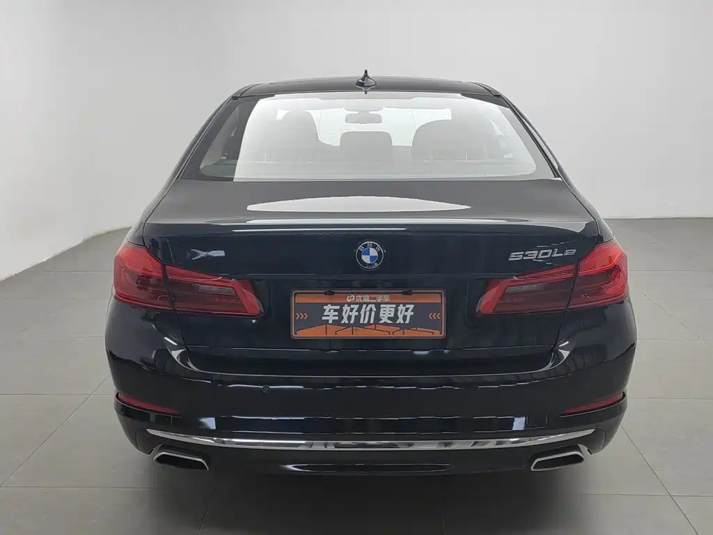 BMW 5 Series New Energy 2019