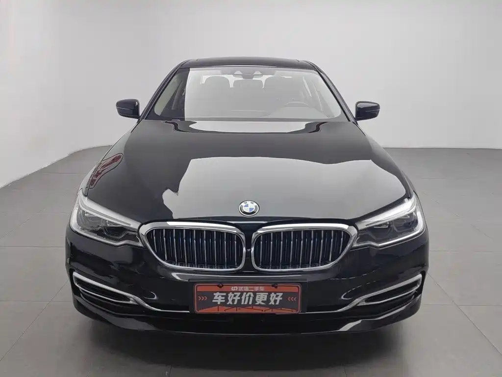 BMW 5 Series New Energy 2019