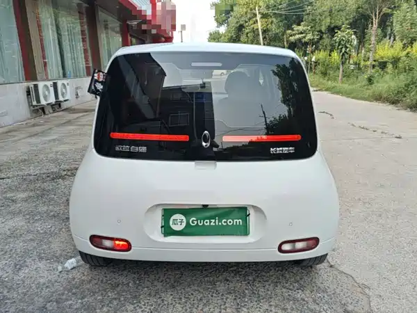 Ora White Cat 2021