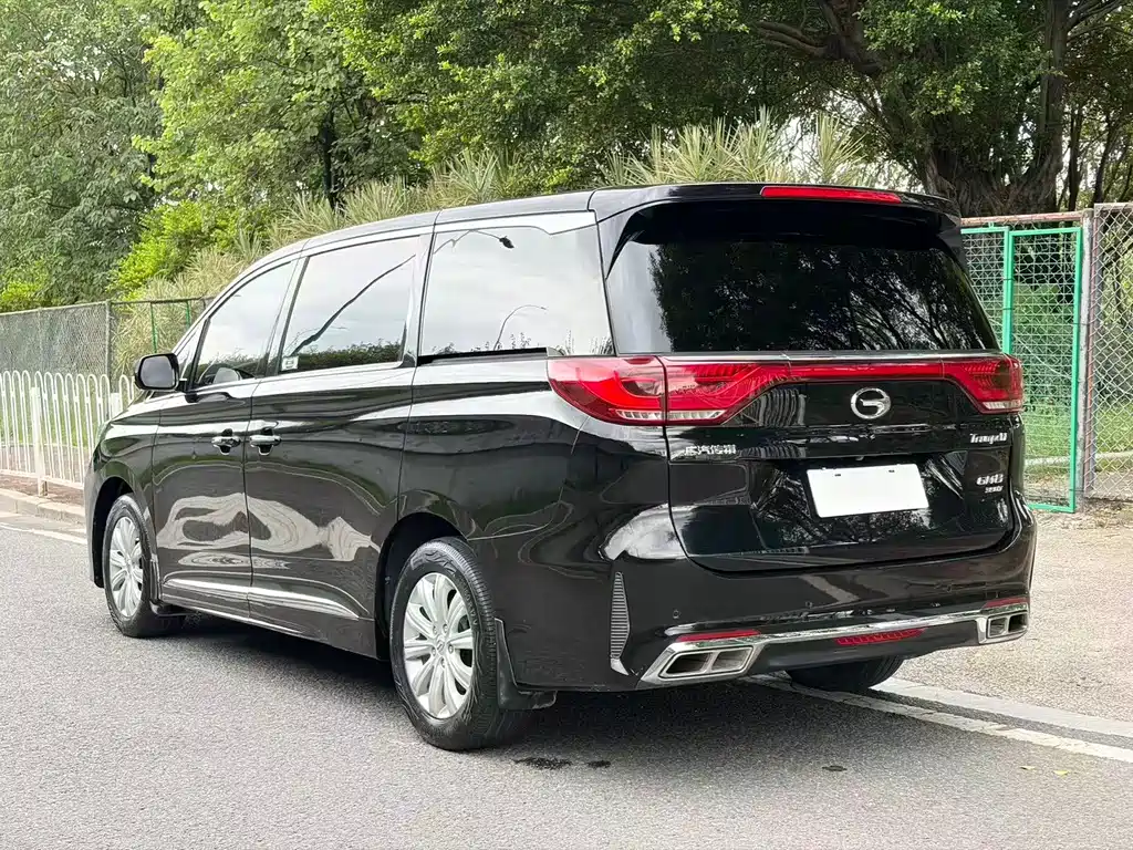 GAC Trumpchi M8 2020 — фото 8