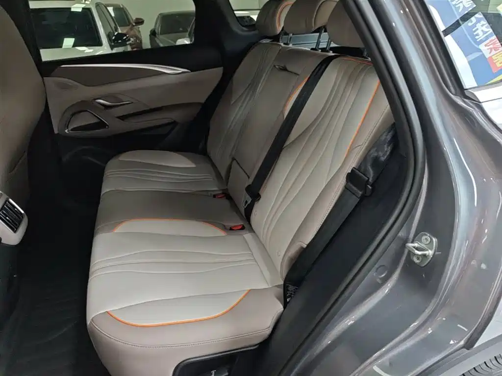 BYD Pro New Energy 2025 — фото 13