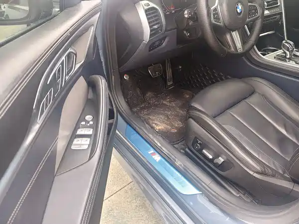 BMW 8 Series 2019