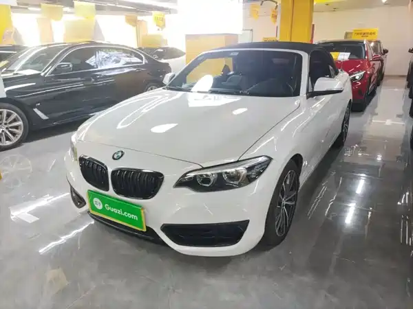 BMW 2 Series 2019