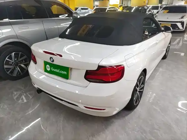 BMW 2 Series 2019