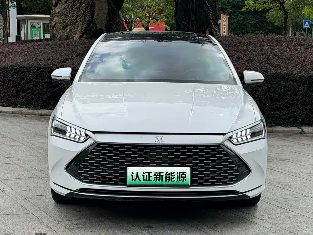 BYD Qin PLUS 2023 — фото 2