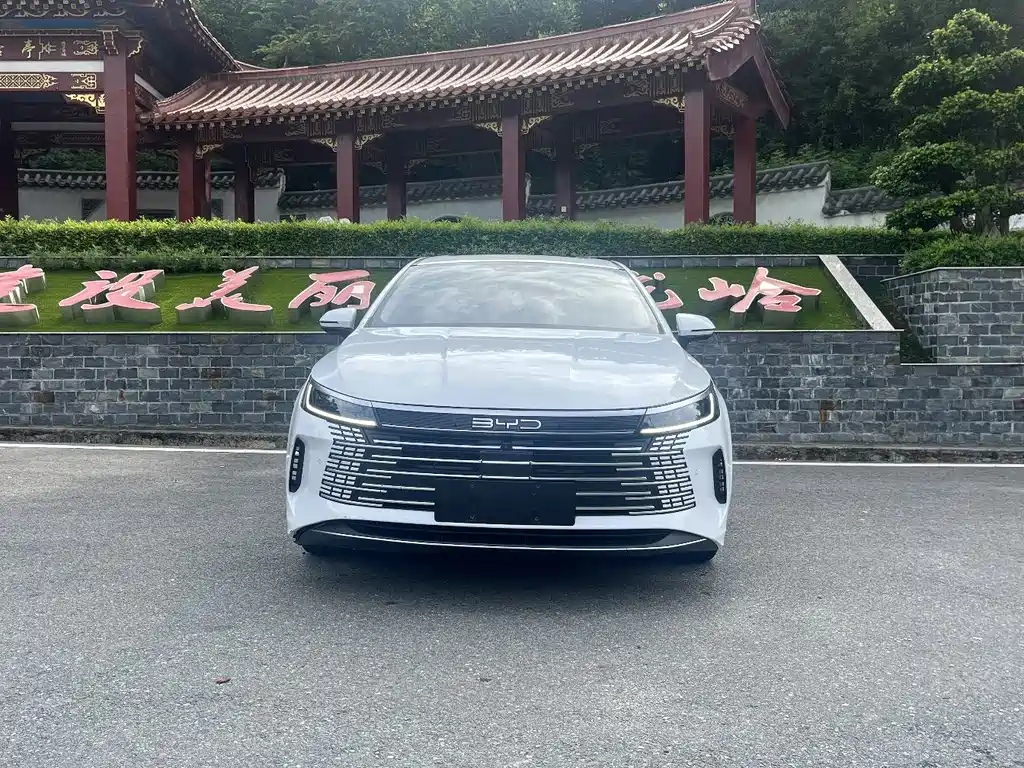 BYD Destroyer 05 2023 — фото 2