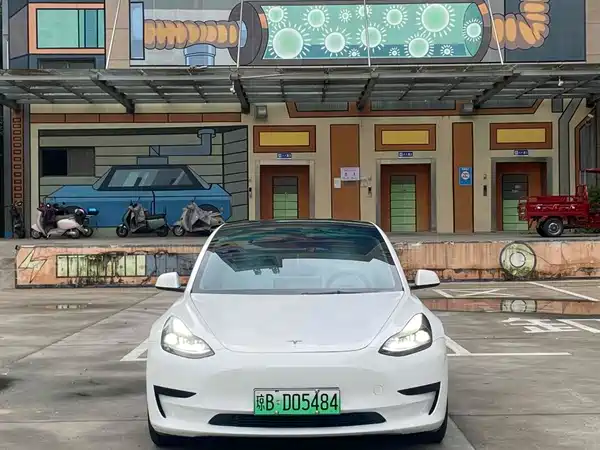 Tesla Model 3 2021