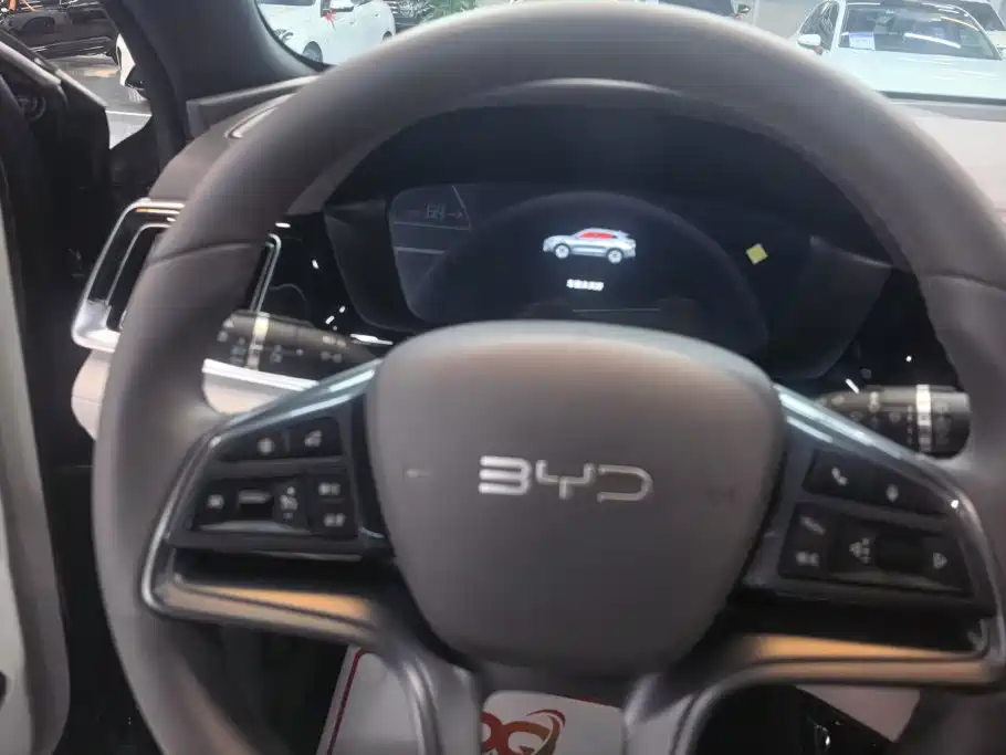 BYD Song PLUS New Energy 2025 — фото 15