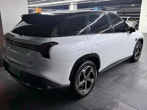 Neta L 2024