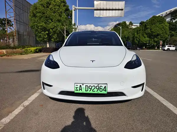 Tesla Model Y 2021
