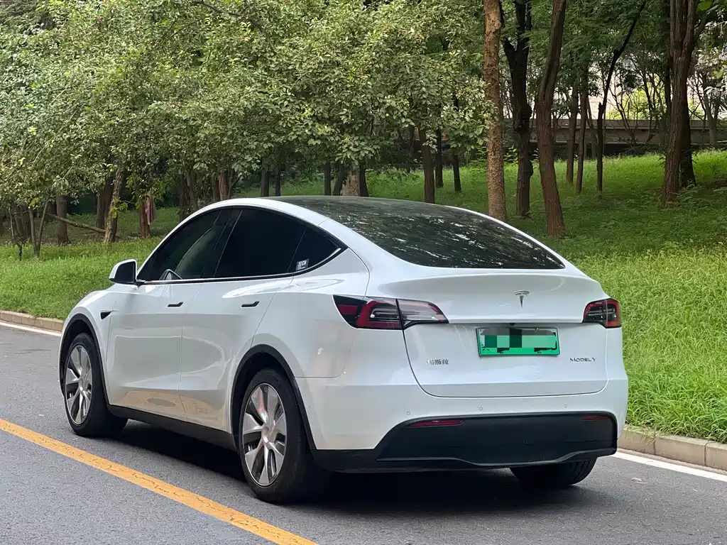 Tesla Model Y 2023 — фото 15