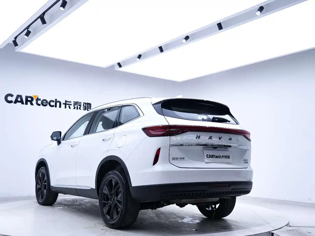 Haval H6 2021 — фото 11