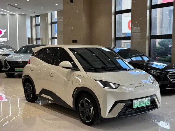 BYD Seagull 2024