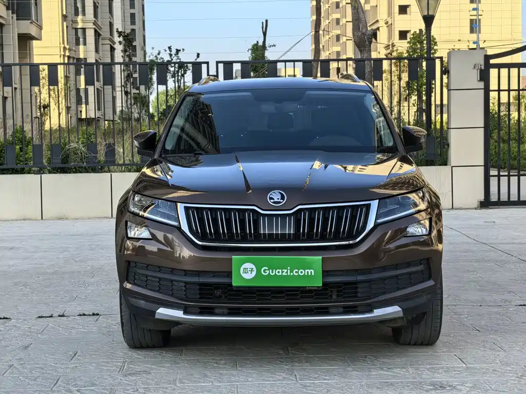 Skoda Kodiaq 2019 — фото 23