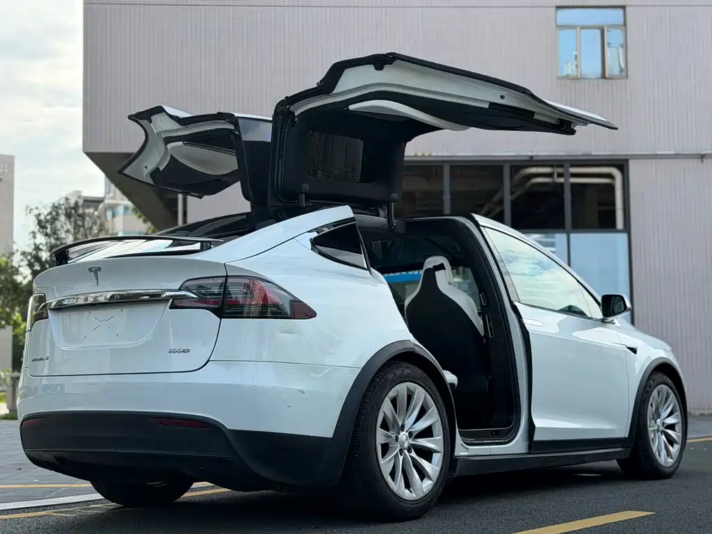 Tesla Model X 2017 — фото 5