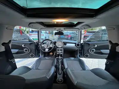 MINI MINI 2010