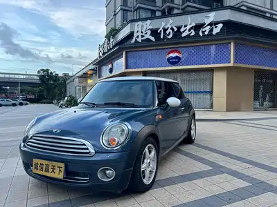 MINI MINI 2010