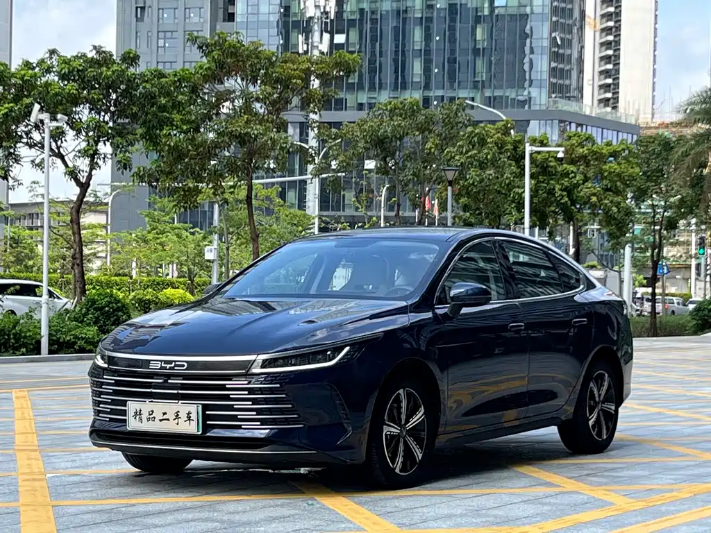 BYD Destroyer 05 2024 — фото 1