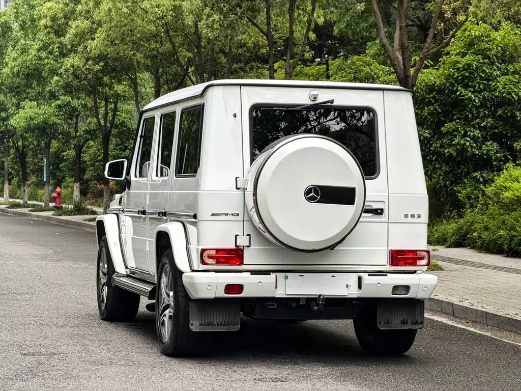 Mercedes-Benz G-Class AMG 2018 — фото 12