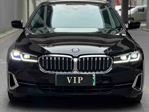 BMW 5 Series New Energy 2022