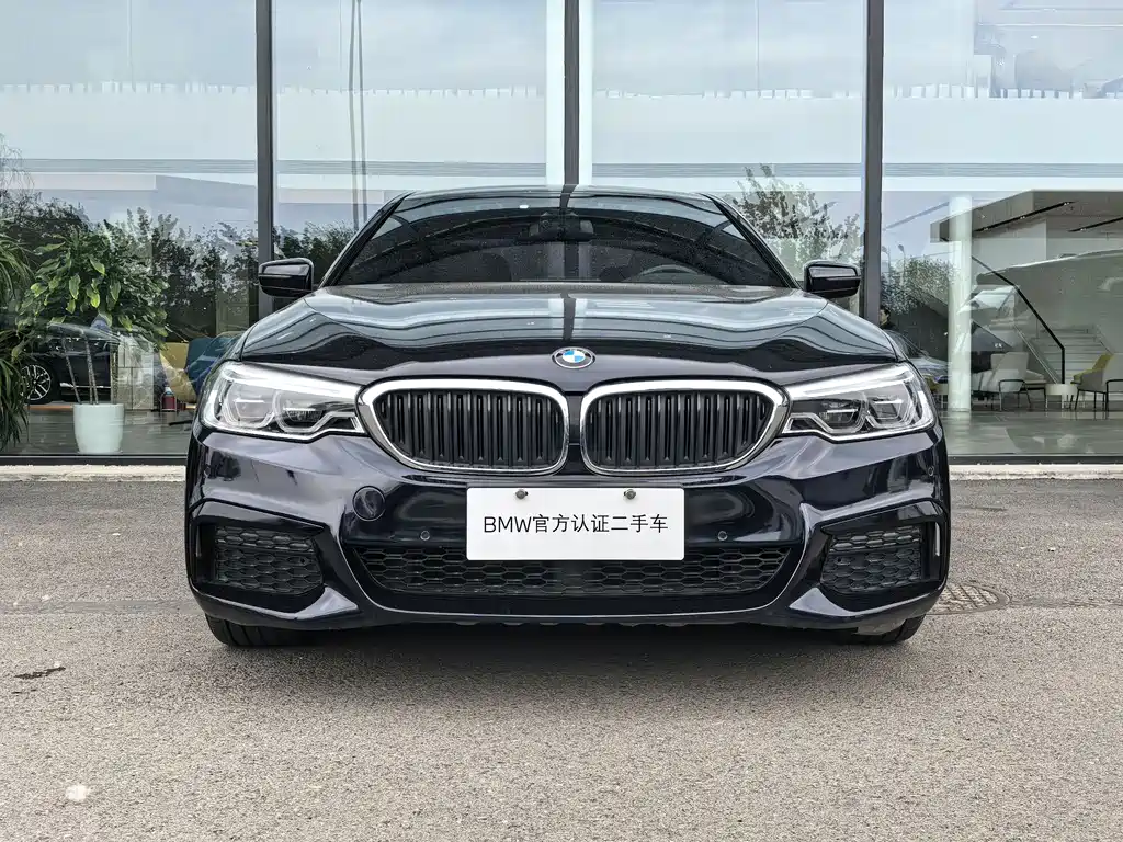 BMW 5 Series 2019 — фото 2