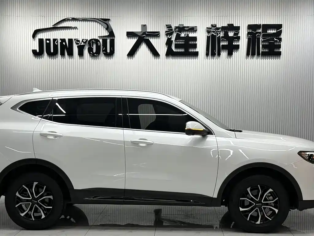 Haval H6 2023 — фото 8