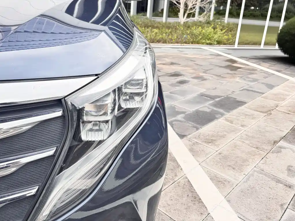 GAC Motor Trumpchi M8 2019 — фото 28