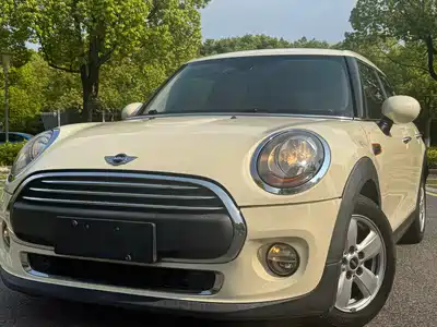 MINI MINI 2015