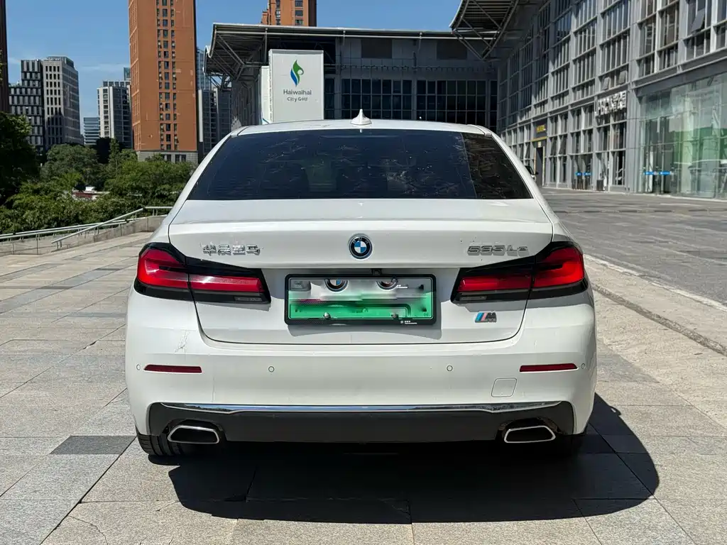 BMW 5 Series New Energy 2021