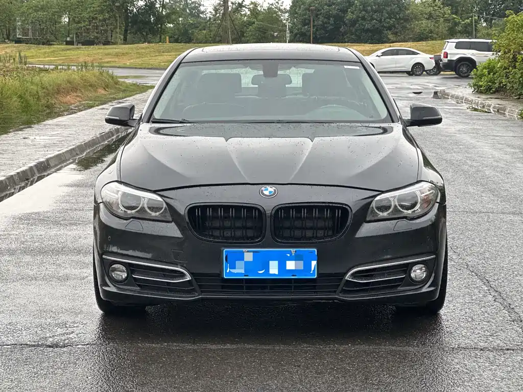 BMW 5 Series 2017 — фото 2