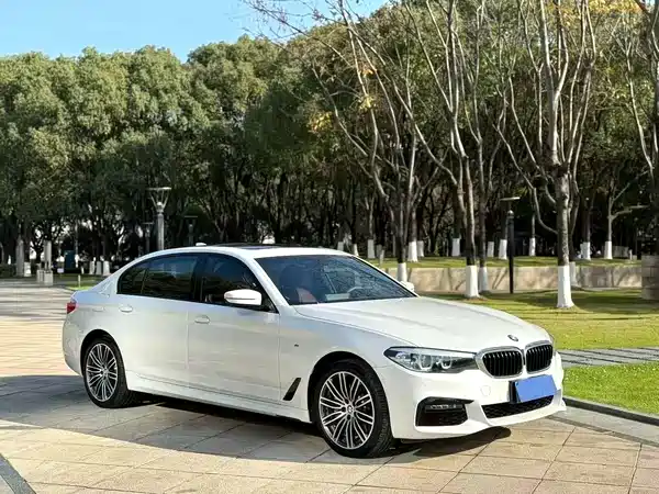 BMW 5 Series 2019