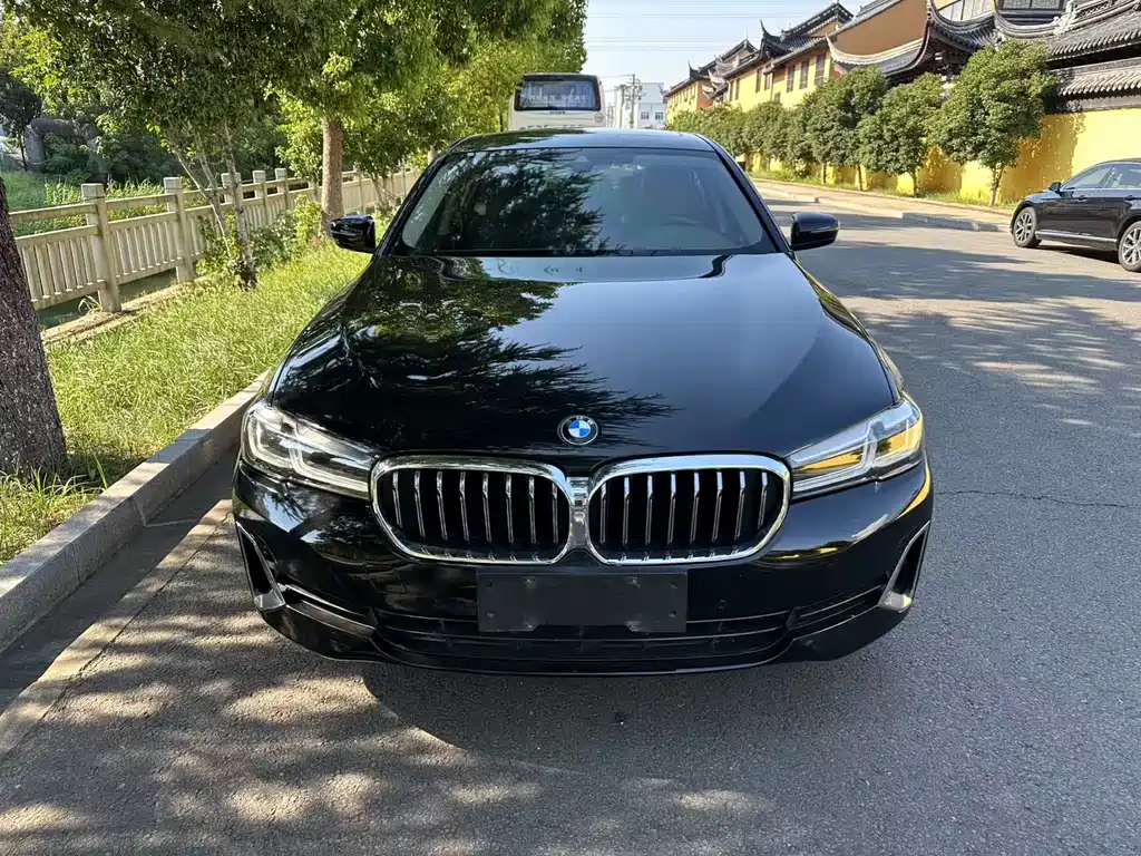 BMW 5 Series New Energy 2021 — фото 2