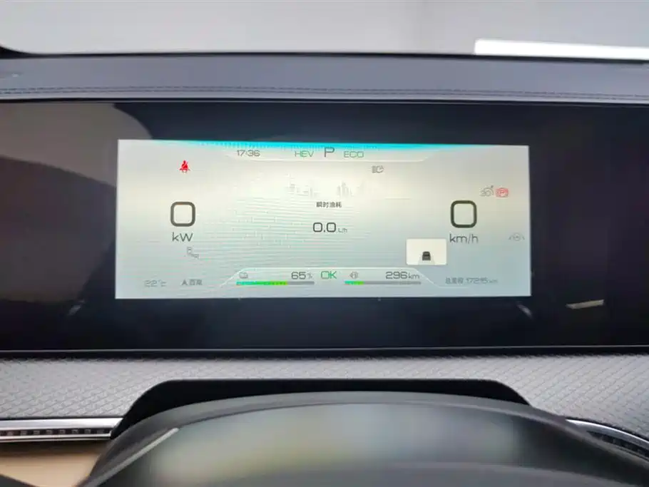 BYD Song Pro New Energy 2024 — фото 14