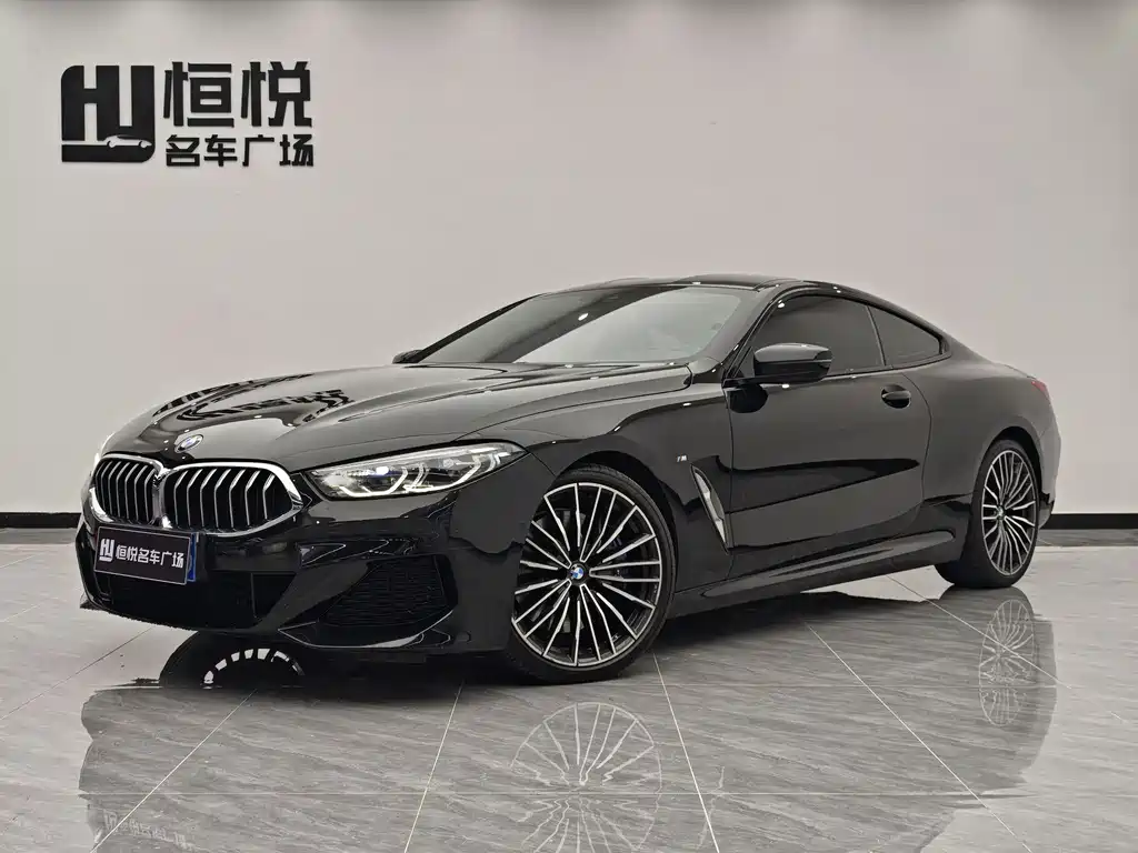 BMW 8 Series 2020 — фото 1
