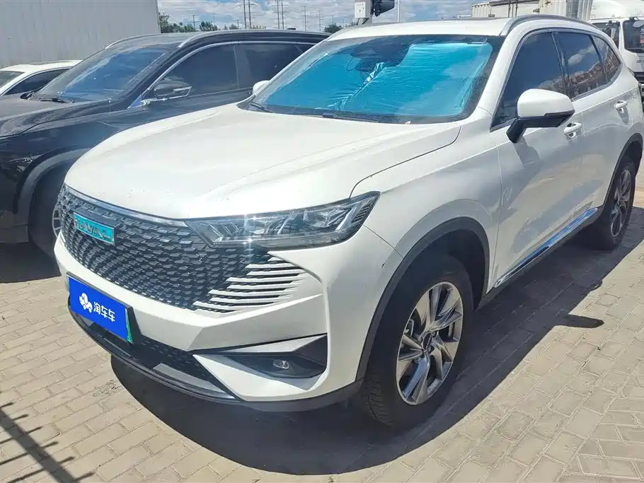 Haval H6 New Energy 2024 — фото 2