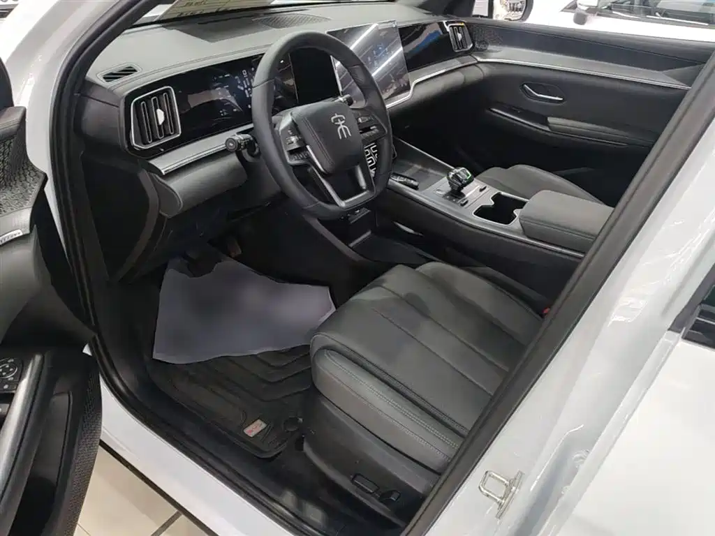 BYD Pro New Energy 2025 — фото 15