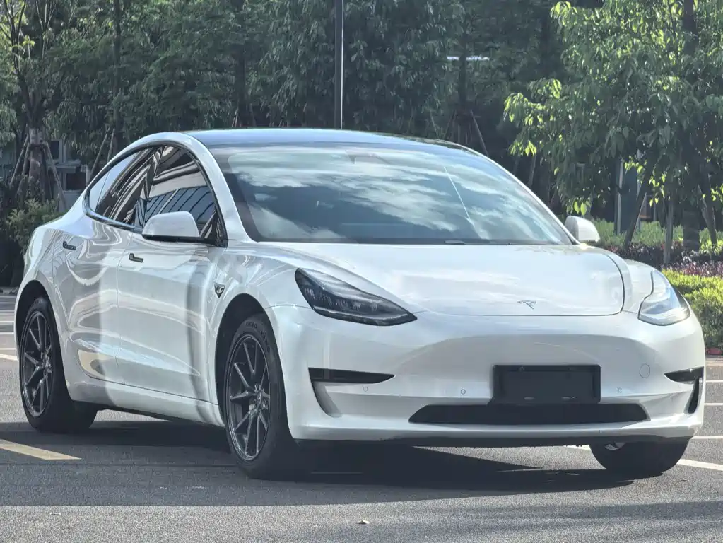 Tesla Model 3 2020 — фото 3