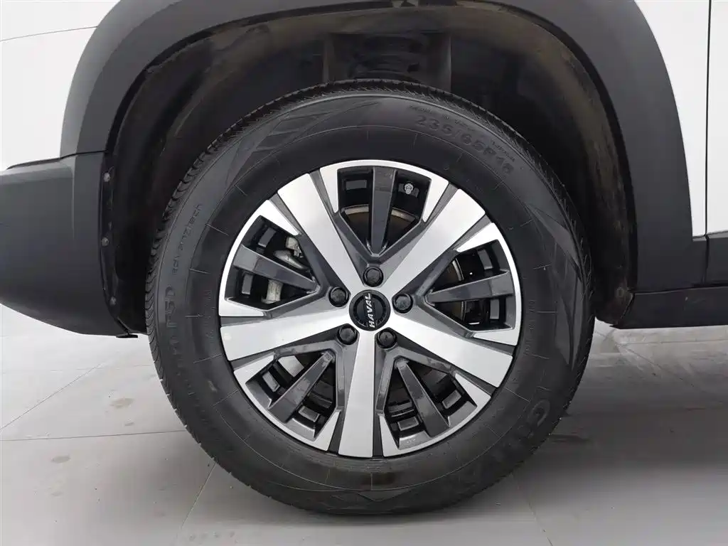 Haval Big Dog 2022 — фото 17