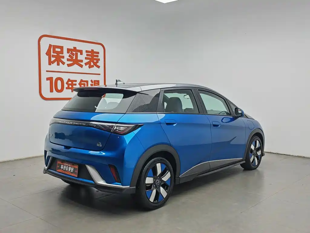 BYD Dolphin 2022